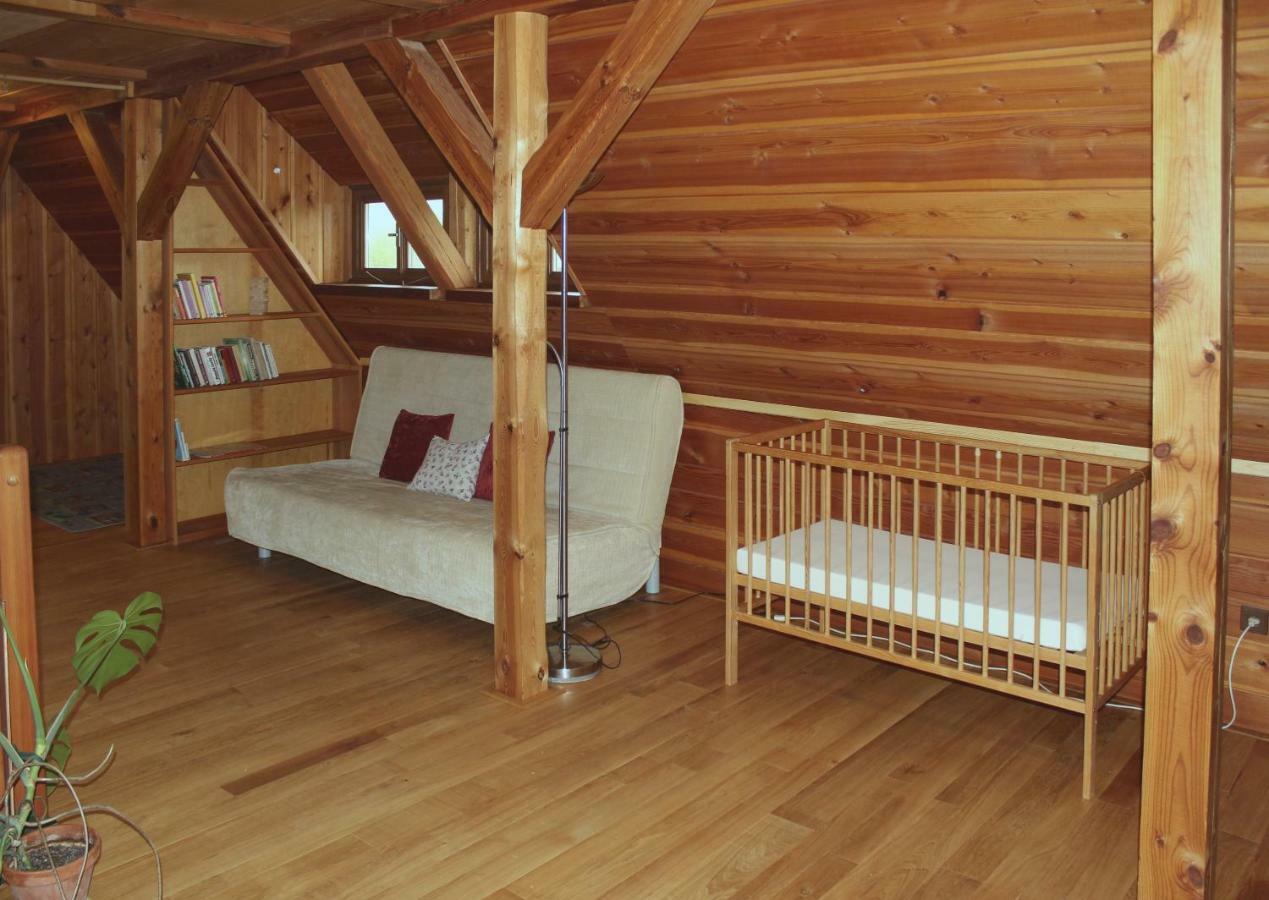 Apartmán ve Skanzenu Třebechovice pod Orebem Kültér fotó